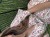 IMG_2850.jpeg