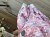 IMG_2483.jpeg