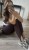 IMG_4077.jpeg